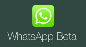 whatsapp new beta for android