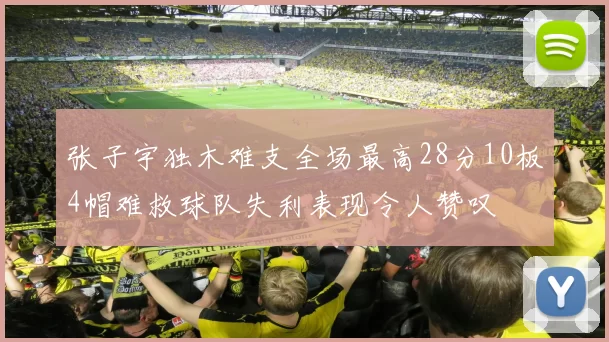 张子宇独木难支全场最高28分10板4帽难救球队失利表现令人赞叹