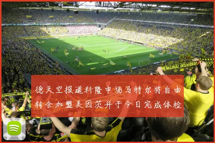 德天空报道科隆中场马特尔将自由转会加盟美因茨并于今日完成体检