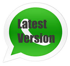 WhatsApp (2.2336.7.0) instal the last version for android